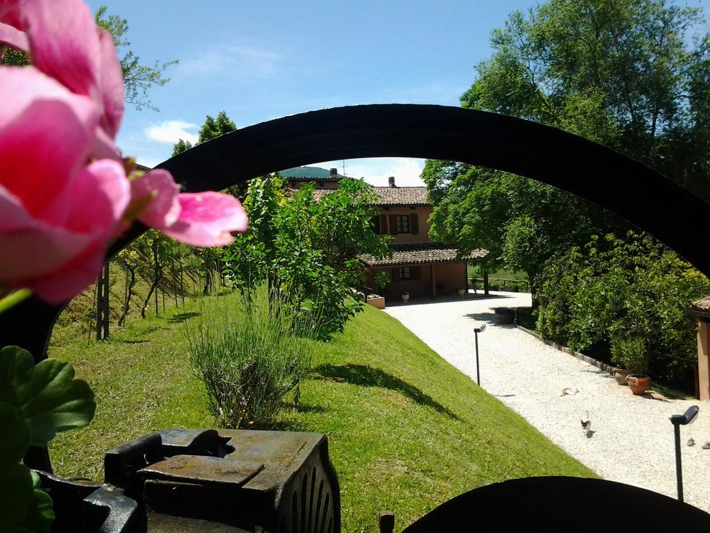 Agriturismo Gioie Di Campagna ファブリアーノ エクステリア 写真