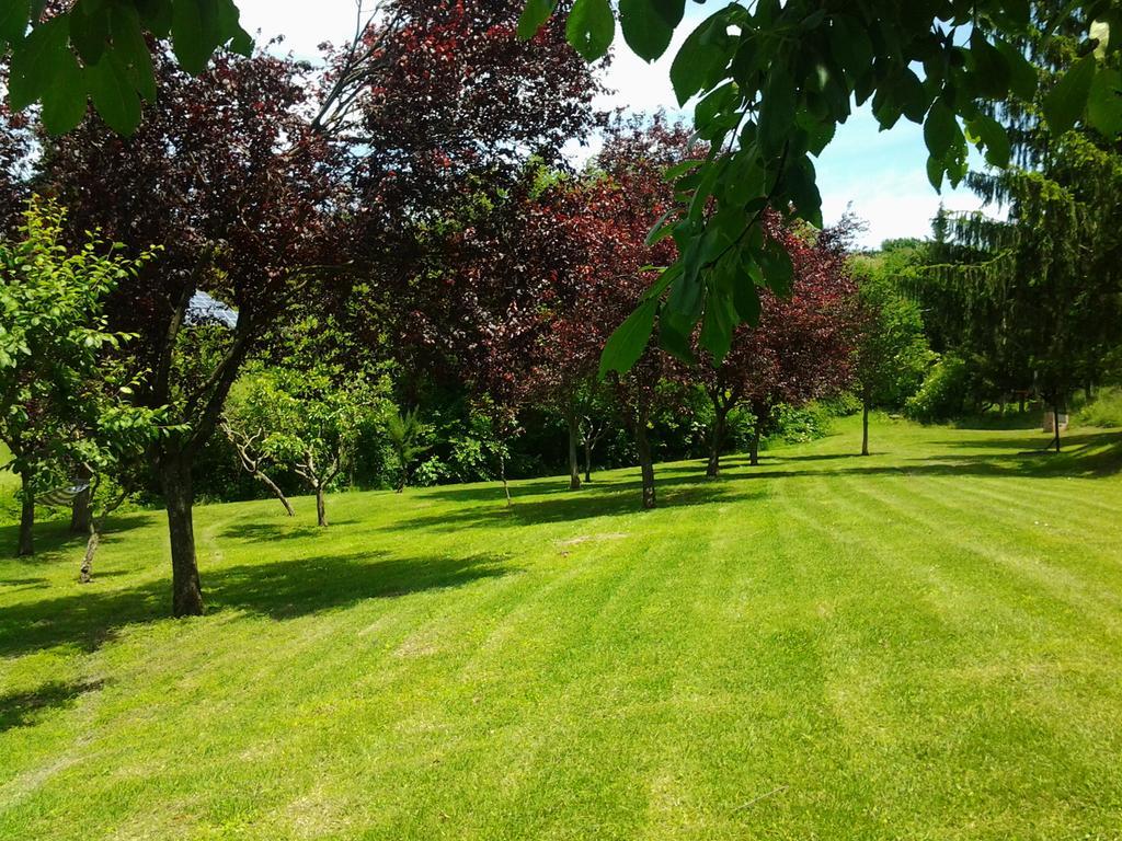 Agriturismo Gioie Di Campagna ファブリアーノ エクステリア 写真