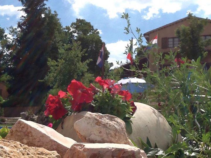 Agriturismo Gioie Di Campagna ファブリアーノ エクステリア 写真