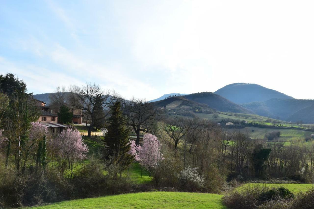 Agriturismo Gioie Di Campagna ファブリアーノ エクステリア 写真